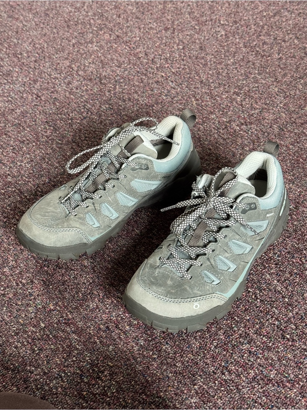 Obōz Sawtooth XLow waterproof Hiking sneaker
